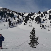 Marion in the powder of the Nockberge at Schoenfeldsattel (approximately 100km southeast of Salzburg)